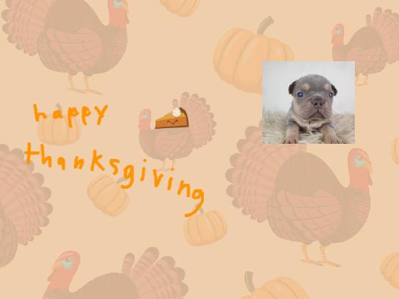 thanks giving puppy