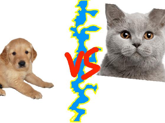 Dogs vs Cats 1
