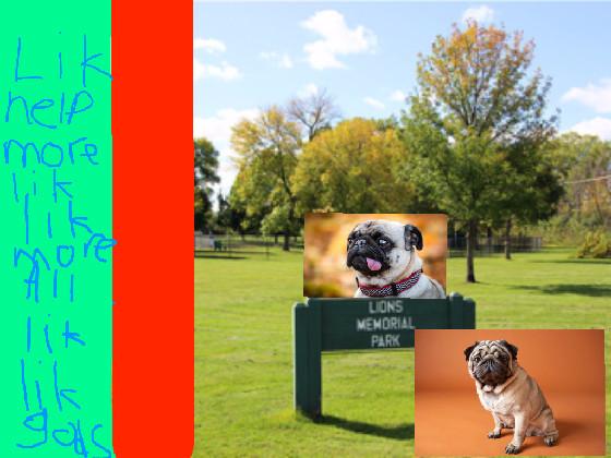 pug clicker 1