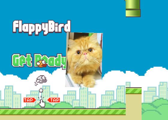 Flappy Bird Funny3 1