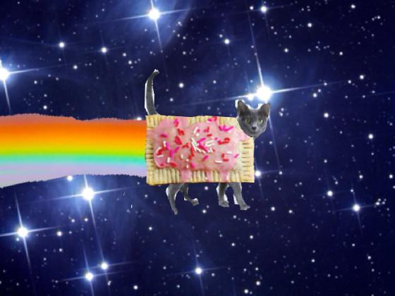 Real nyan cat 1