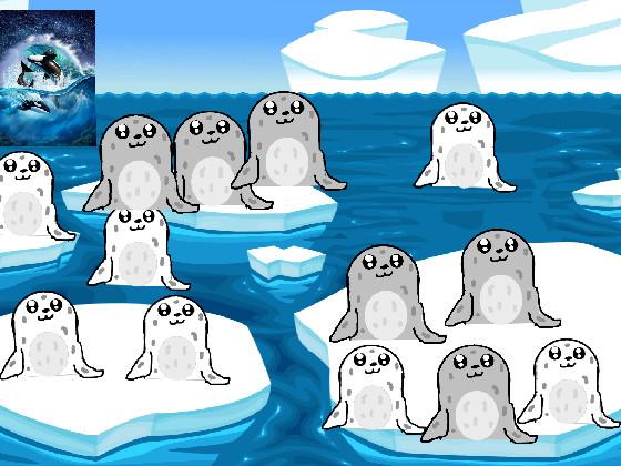 Seals and orka 3