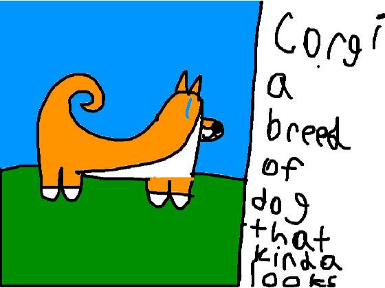 This Is What A Corgi Is