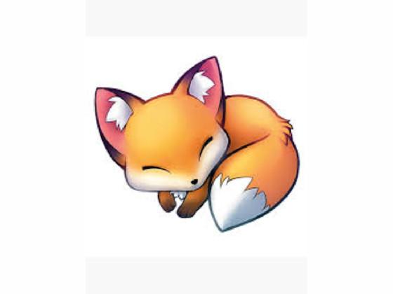 cute fox 1
