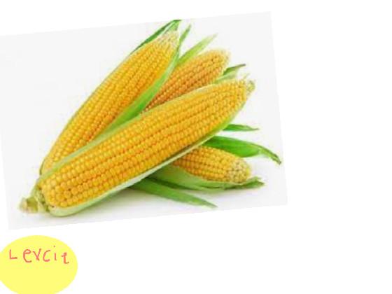 iT’S cOrN cliCKER 1 1