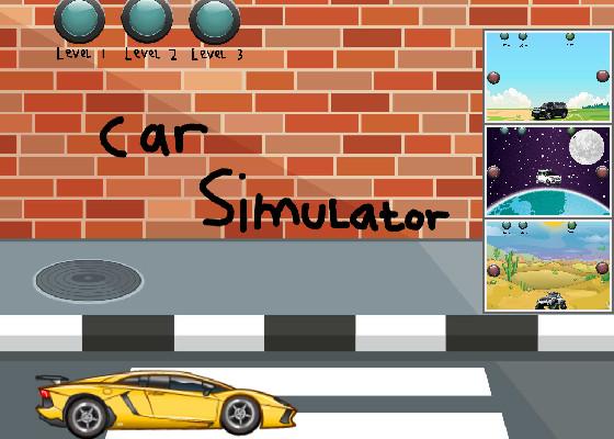 car simulator