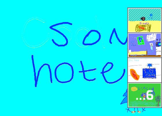sonic hotel