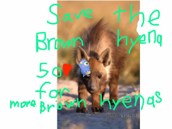 save the Brown hyenas