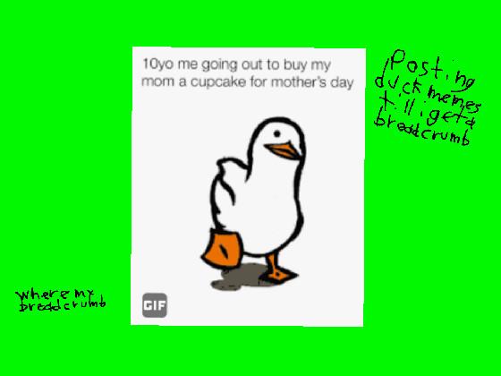 My Project 4 - copy - copy