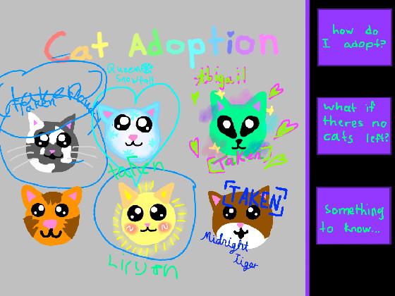 Cat adoption 1 1 1 1 1