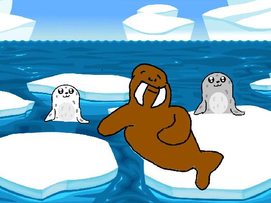 Seals and Walrus 1