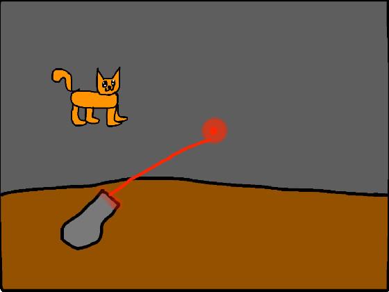 cat follows the laser