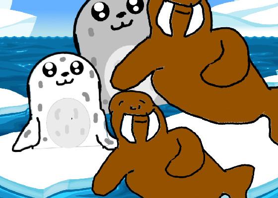 Seals and Walrus 1