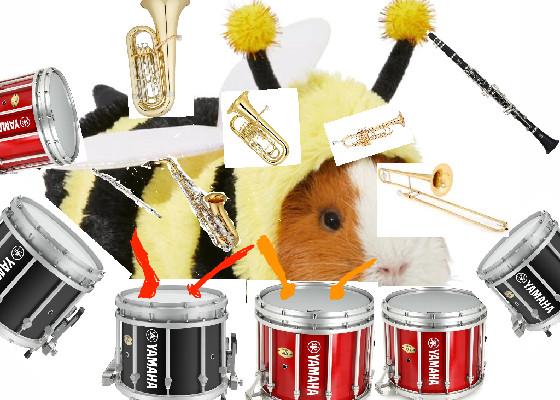 Guinea Pig band