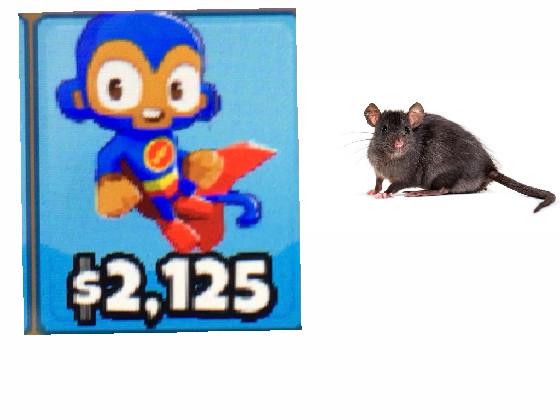 monkey vs rat