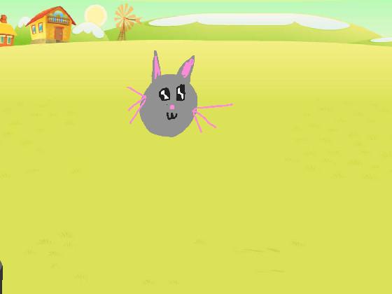Cat Chasing Laser