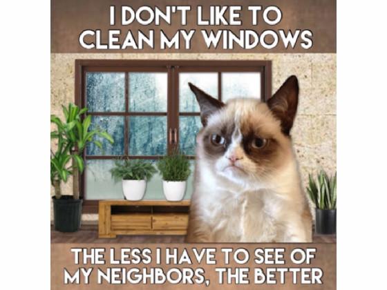 grumpy cat memes 1