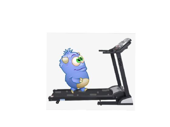 Codey on a treadmill