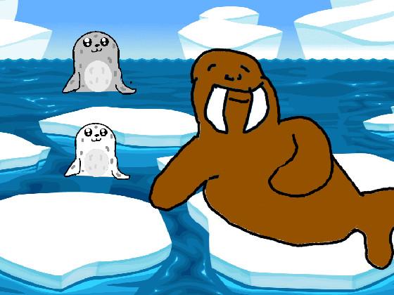 Seals and Walrus 2