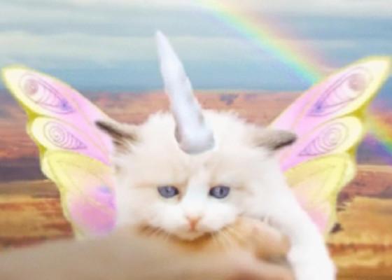 Pink fluffy unicorns song  1