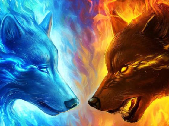 color on wolves