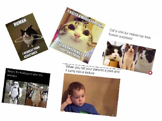 funny memes| part 2