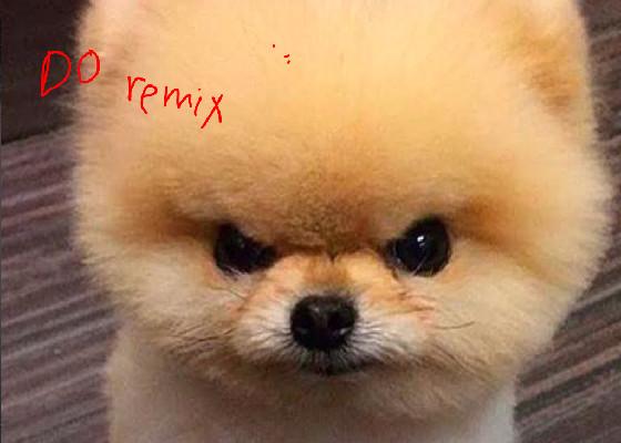 STOP REMIXING 1 1