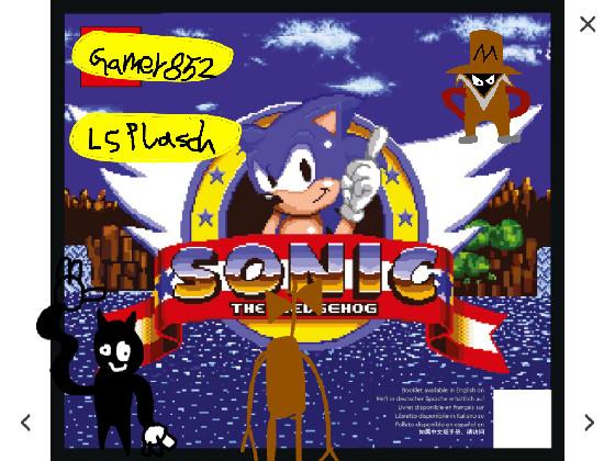 draw yourself in sonic!