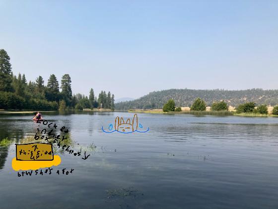 ad ur oc in the water 1