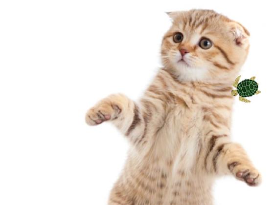 Spiral Triangles 2 1