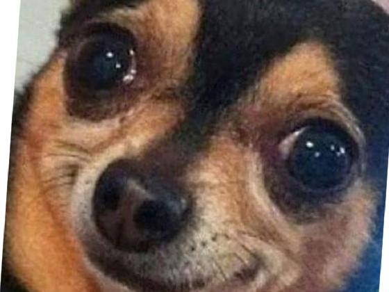 when u realize it is- 1