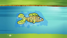Fish (with a)hidden message