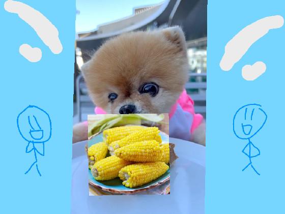 ITS CORN! jiffpom 1 1 1 1