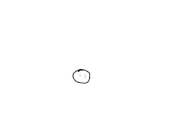first animation