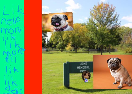 pug clicker 1