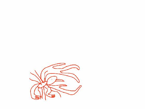 bird thing chaos