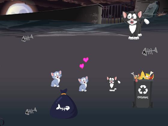 Adventure cat part one