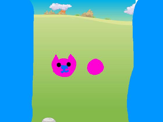Play with cat