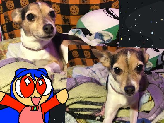 add your oc to my dog 1