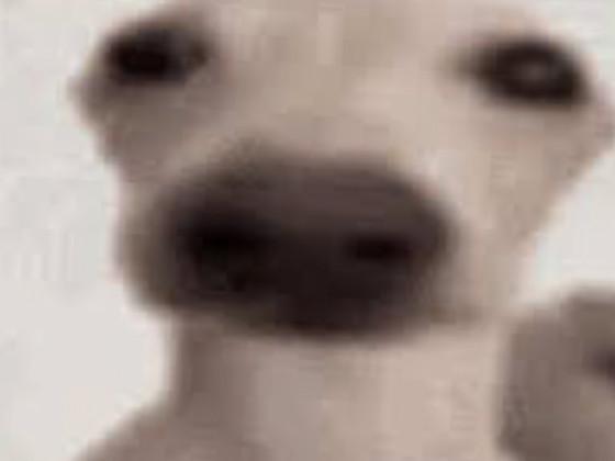 …