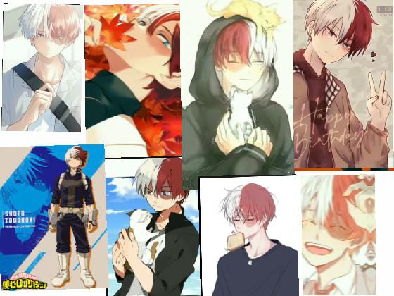Mha todoroki