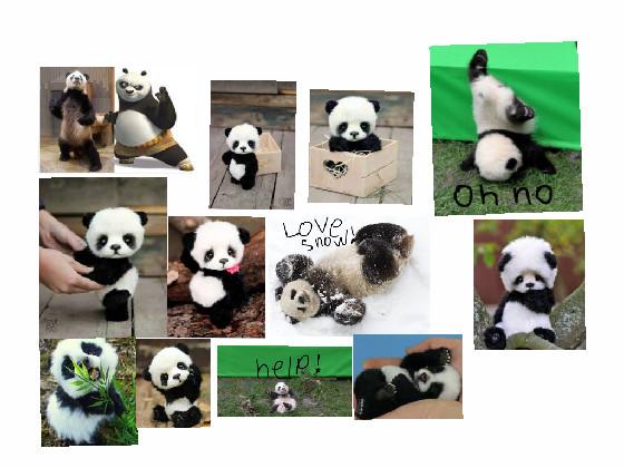Say Pandas!