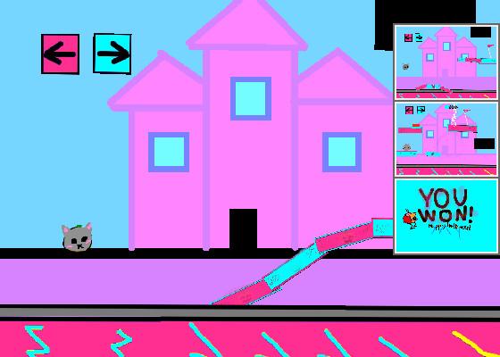 Adventures of cat :3