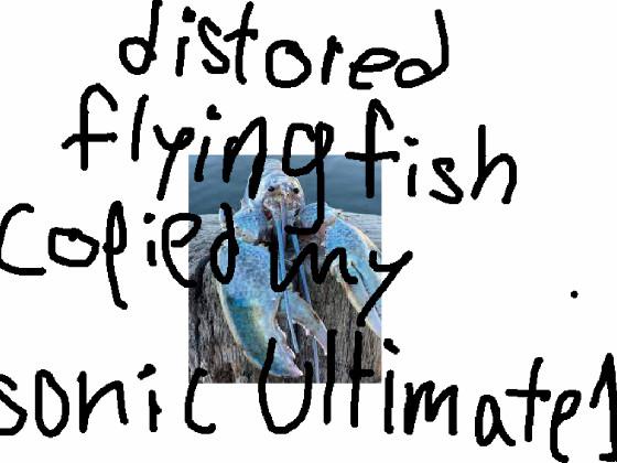 distorted flying fish problem!!