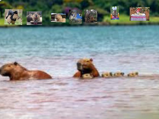 capybara world