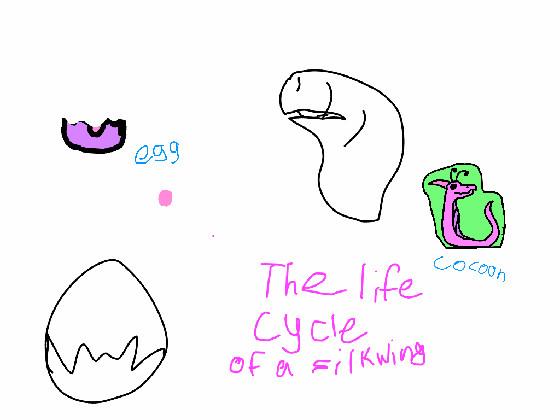 re:life cycle of a silkwing
