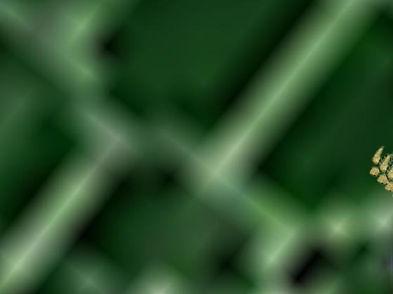 Spiral Triangles 1 1