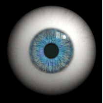 The big eyeball simuator