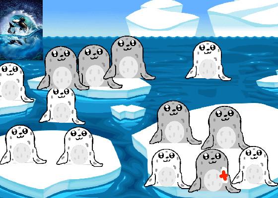 Seals and orka 3 1