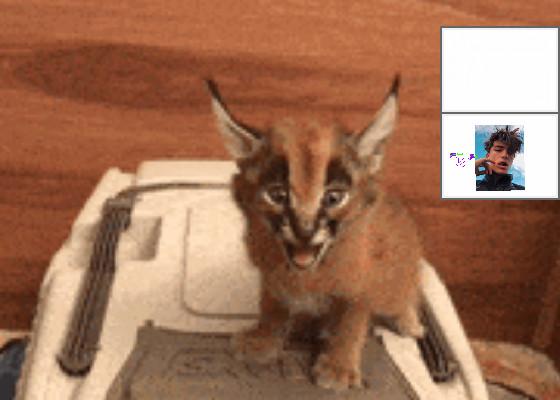 funny joke 😂🤣 1